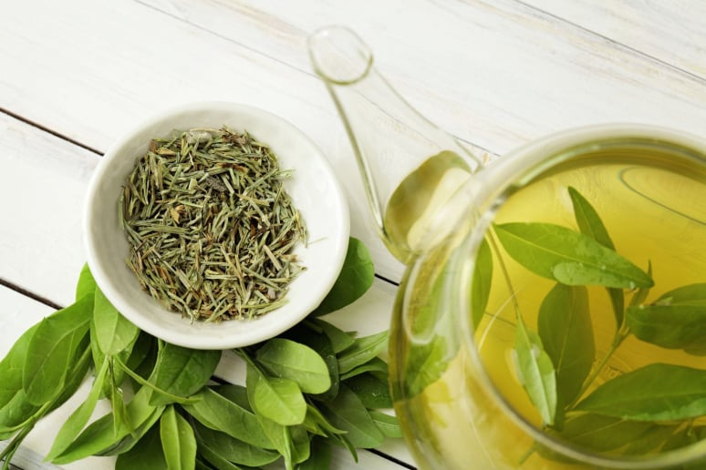 Green Tea Extract